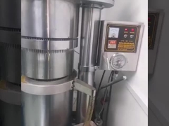 Pressen van cacaoboter olie door Lewin hydraulische olie machine