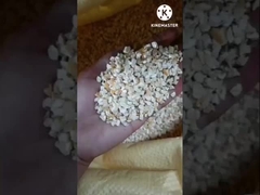 maïskiem-olie-extractie-machine