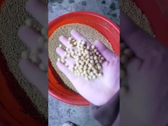 Soja-oliepersmachine