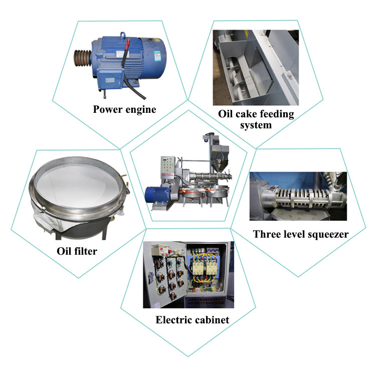 Mosterdzaad Sesamolie persmachine 6YL-160 Schroef Met 300-600 kg/uur capaciteit