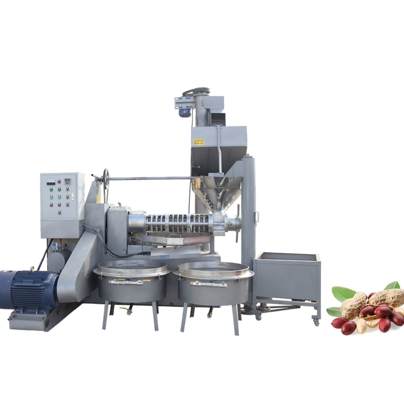 380V van de de Schroefolie van de voltagenoot van de de Persmachine van de de Aardnootolie de Extractiemachine