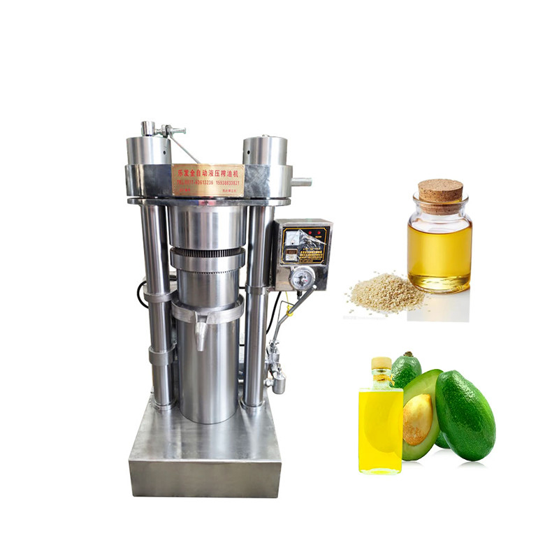 Mini van de de persmachine van de type hydraulische olie van de de avocadoolie koude het malenmachines