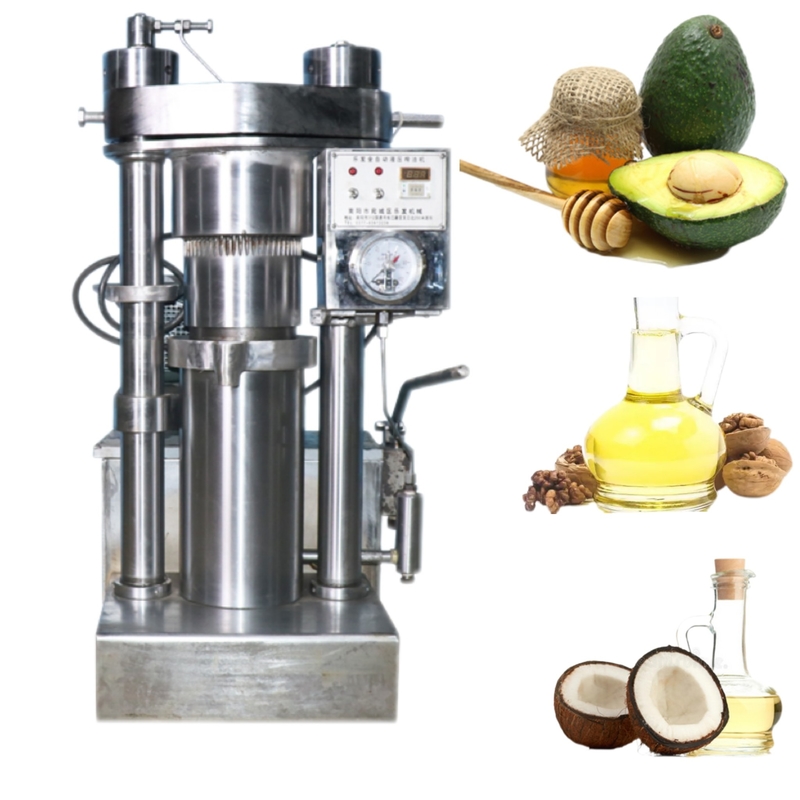 Mini van de de persmachine van de type hydraulische olie van de de avocadoolie koude het malenmachines
