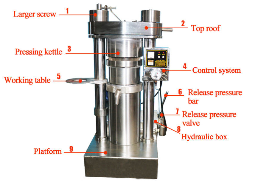 Duurzame koude persolie-extractiemachine Eetbare olie-extractiemachine voor sesam / olijfolie