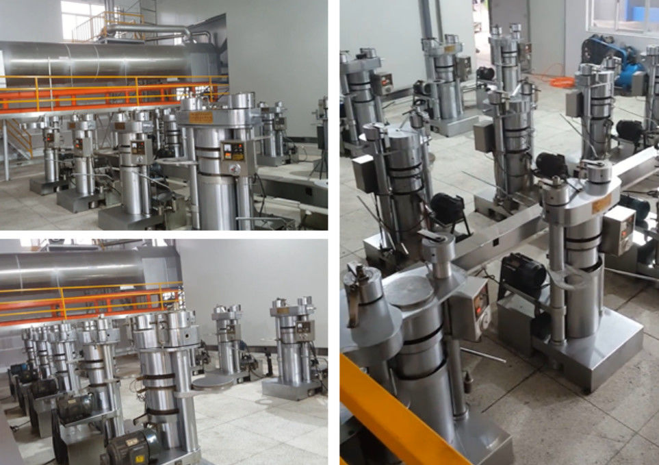 Duurzame koude persolie-extractiemachine Eetbare olie-extractiemachine voor sesam / olijfolie